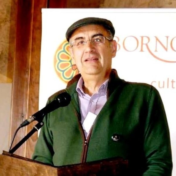 Foto José Puerto